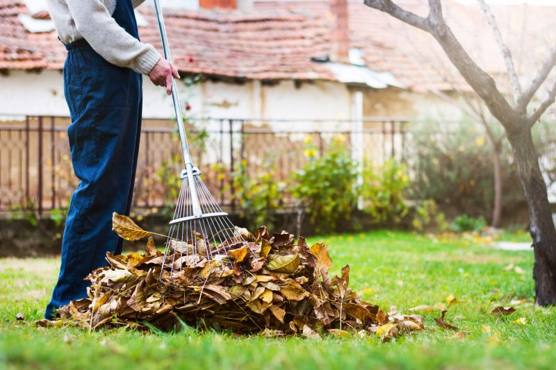 Autumn Landscape Maintenance