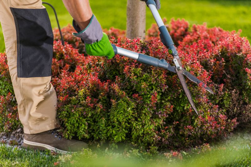 Hedge Trimming in Aiken, SC