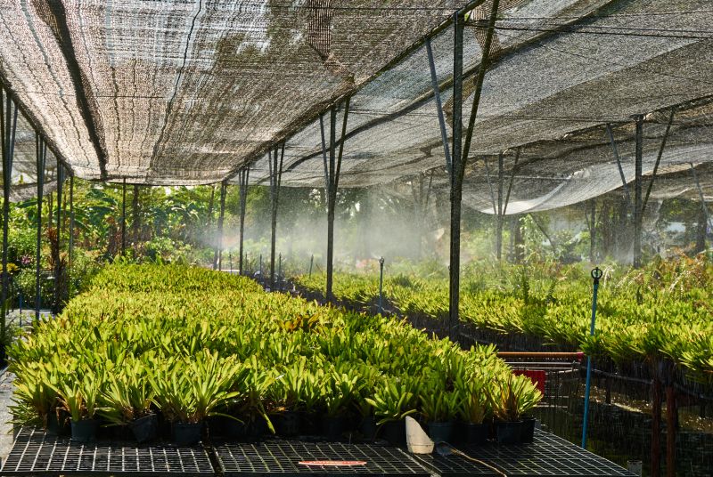 Budget-Smart Upgrades